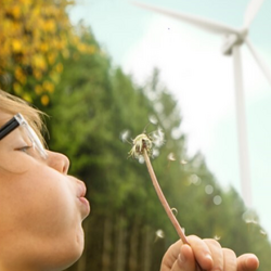 boy blowing dandelion